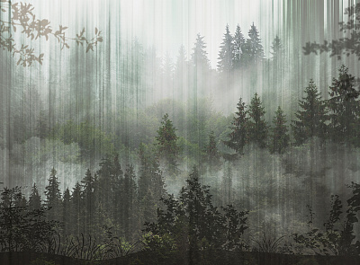 Фотообои Foresta 14, FORESTA, Wall street